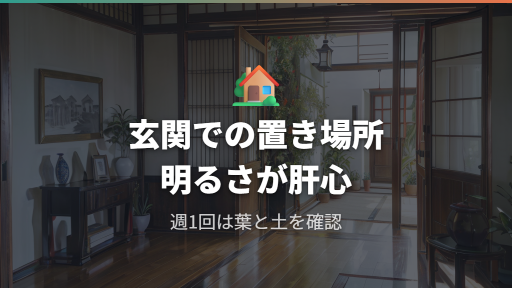 玄関や室内での配置とガジュマルの花言葉