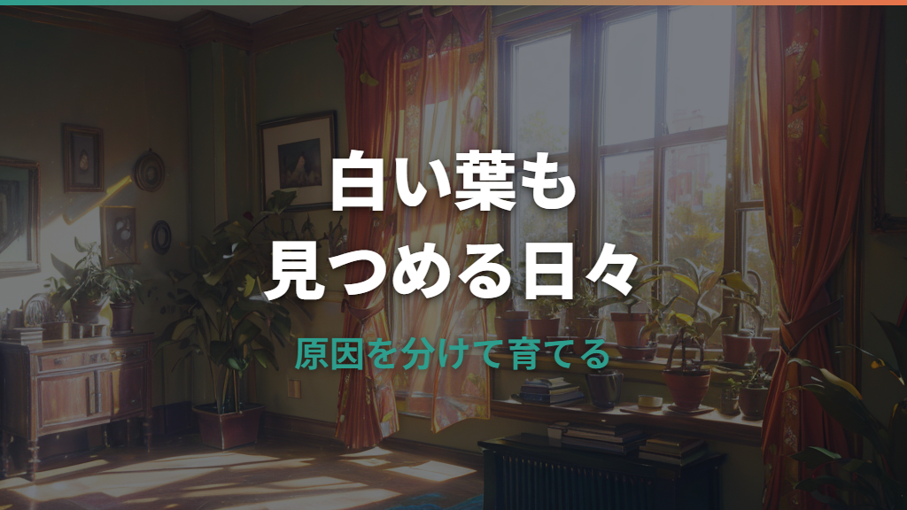 パキラの葉の色が抜ける原因は？白い葉・斑点・黄色い葉の見分け方