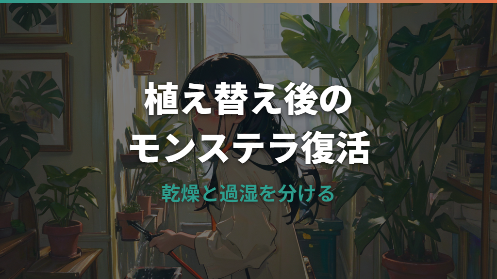 モンステラの植え替え失敗から復活させる方法｜葉が垂れる・黄色い原因と根腐れ対処
