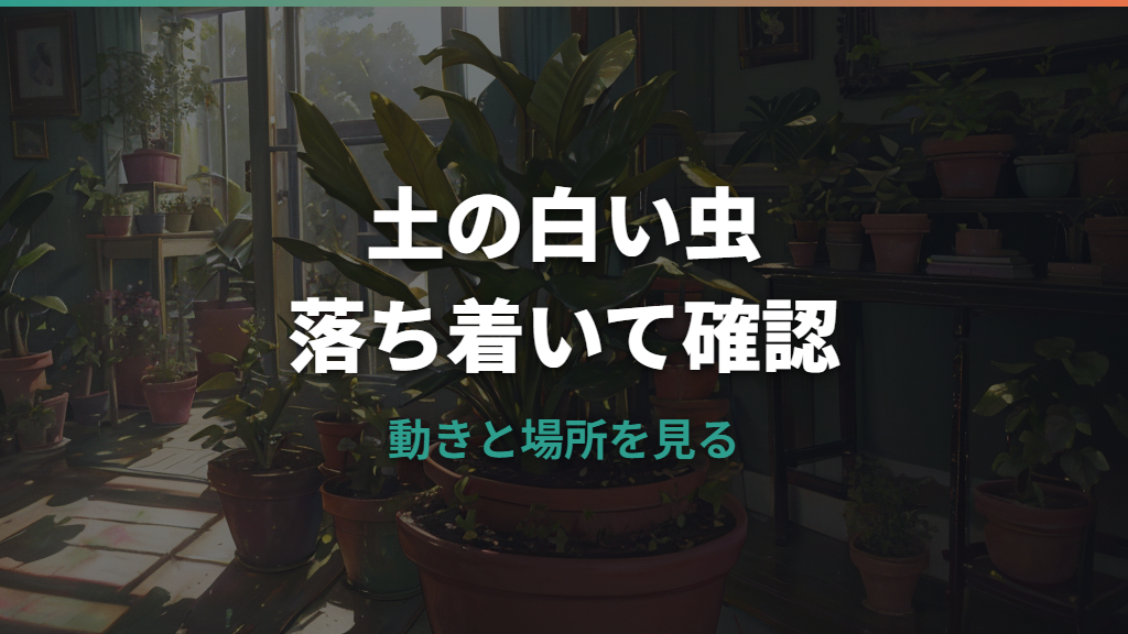 観葉植物の土に白い虫が出たら?正体の見分け方と室内でできる駆除・予防策