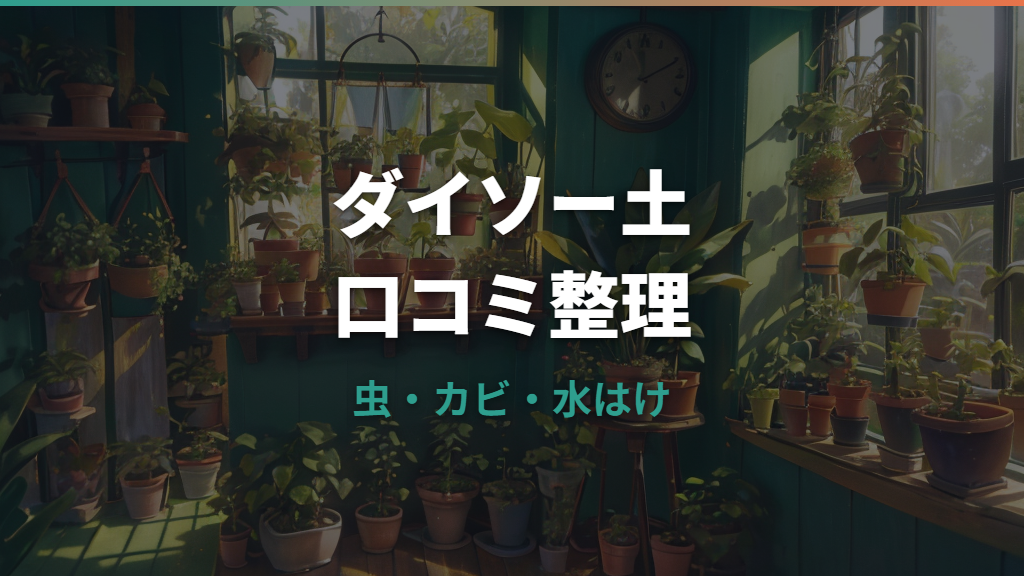 ダイソー観葉植物の土の口コミは？虫・カビ・水はけまで実用目線で整理
