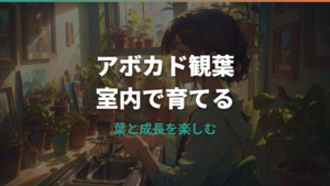 アボカドを観葉植物として室内で育てる方法｜種から鉢植えまでの基本