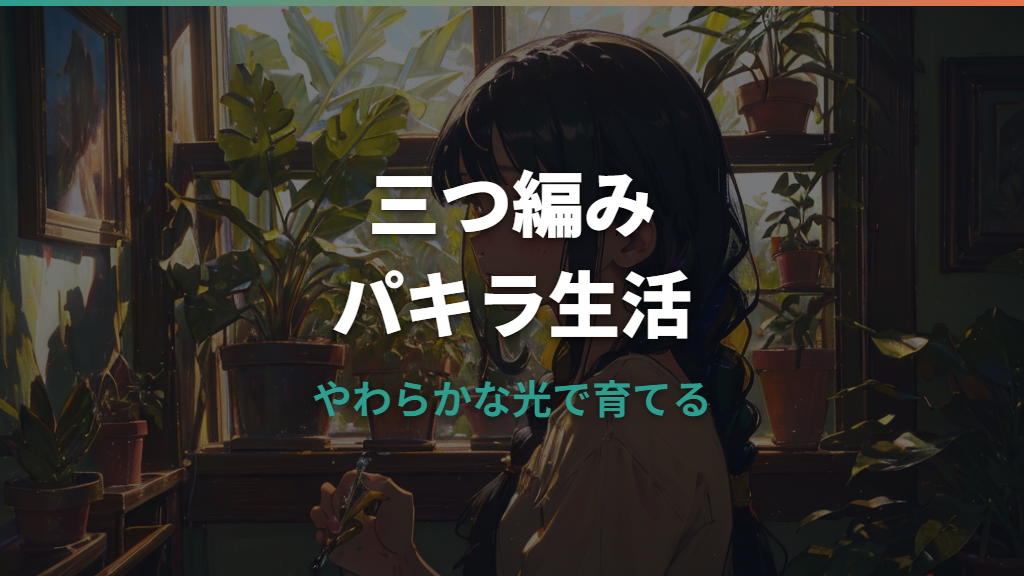 パキラの三つ編み仕立てとは?育て方・ほどける疑問・幹トラブルまで解説
