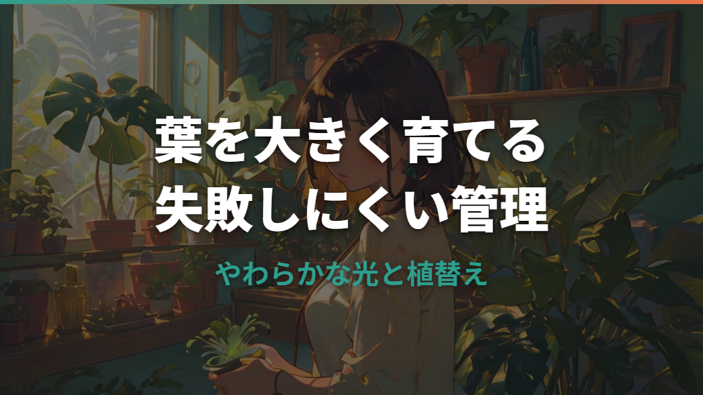 モンステラを巨大化させたい人へ|葉を大きく育てる環境と支柱のコツ