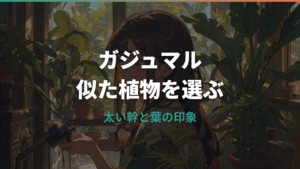 ガジュマルに似た観葉植物はどれ？太い幹・樹形・育てやすさで選ぶ候補