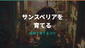 ダイソーのサンスベリア苗は買える？価格・種類・植え替えと育て方