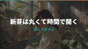 モンステラの新しい葉が開かない原因は?時期・丸まり・小さい葉の対処法