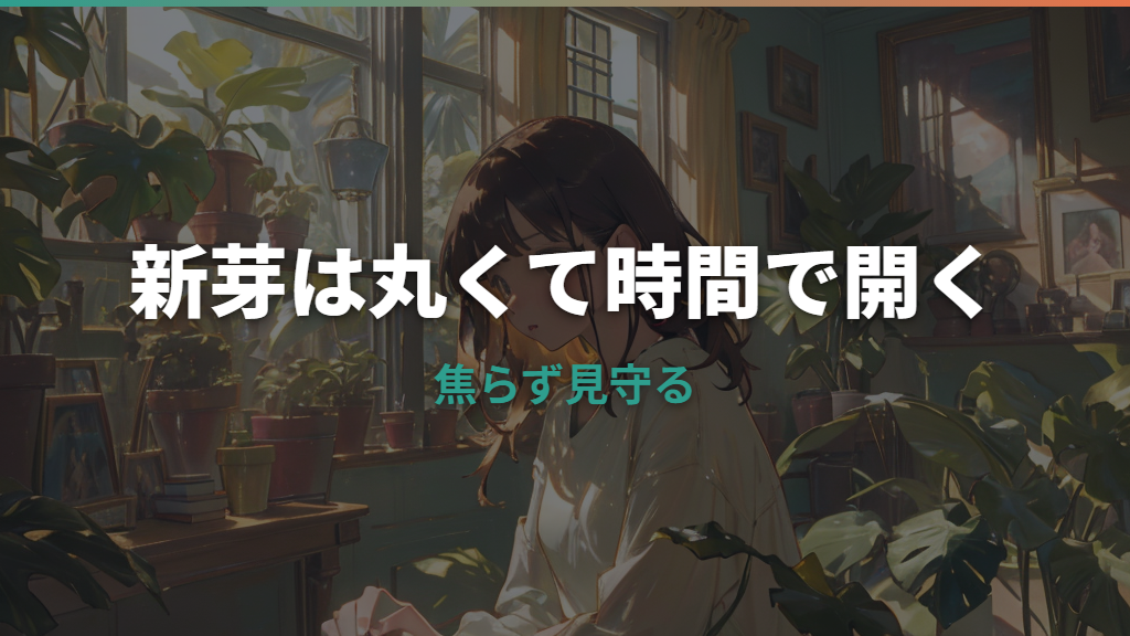 モンステラの新しい葉が開かない原因は？時期・丸まり・小さい葉の対処法