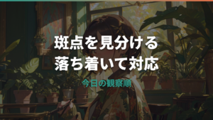 パキラの病気で斑点が出た?黒・茶色・白の原因と対処法