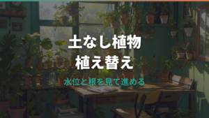無印の土を使わない観葉植物は植え替えできる？仕組みと手順を解説