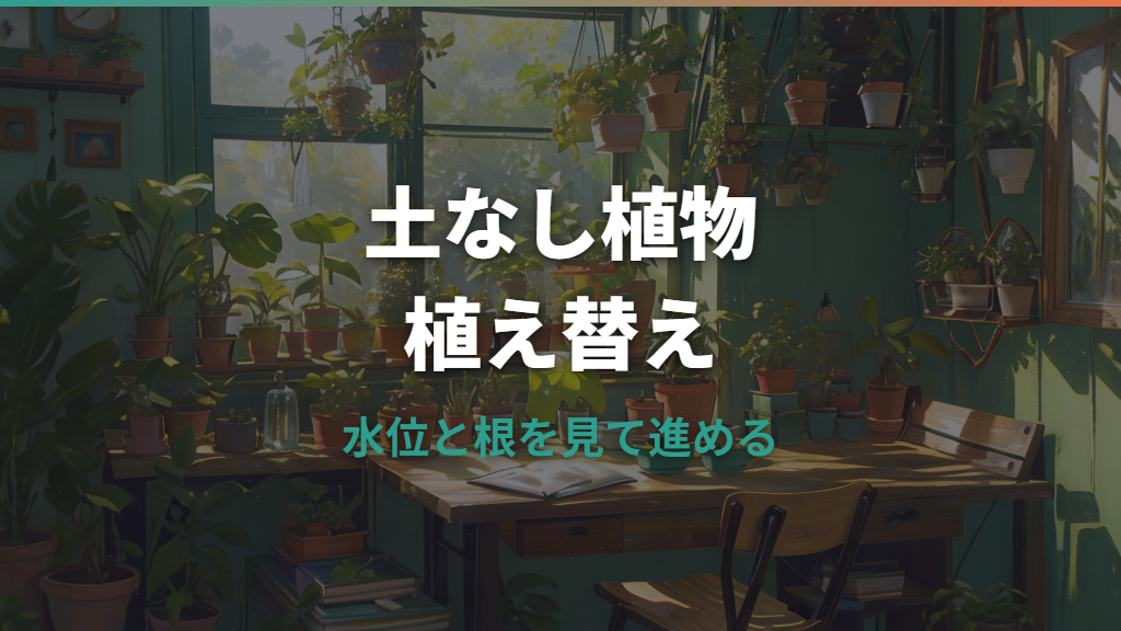 無印の土を使わない観葉植物は植え替えできる?仕組みと手順を解説