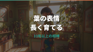 ウンベラータの寿命は何年?10年以上育てる管理と枯れサイン