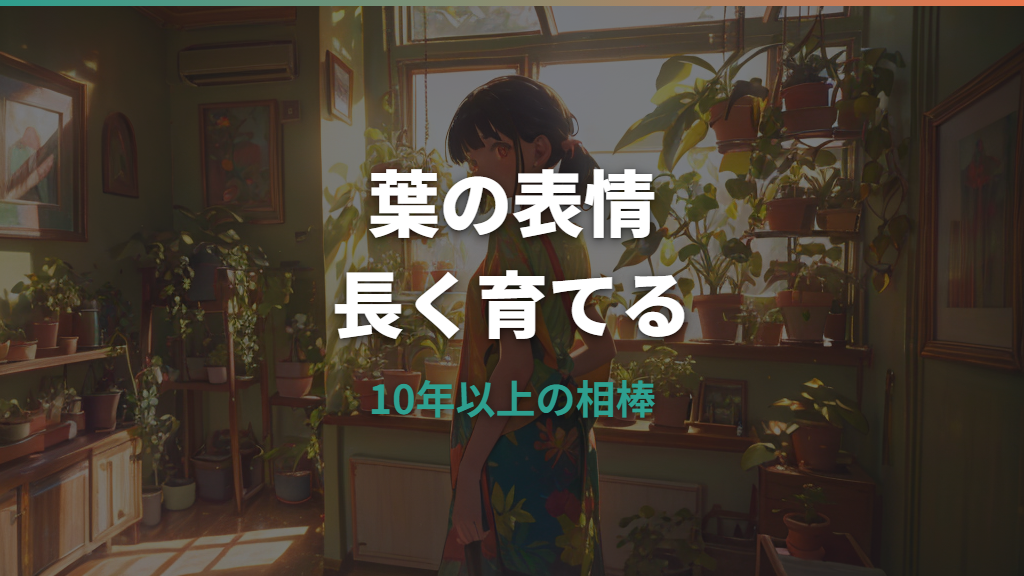 ウンベラータの寿命は何年？10年以上育てる管理と枯れサイン