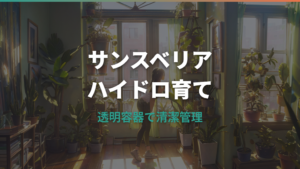 サンスベリアのハイドロカルチャー詳しいガイド|植え替え手順と枯らさない管理