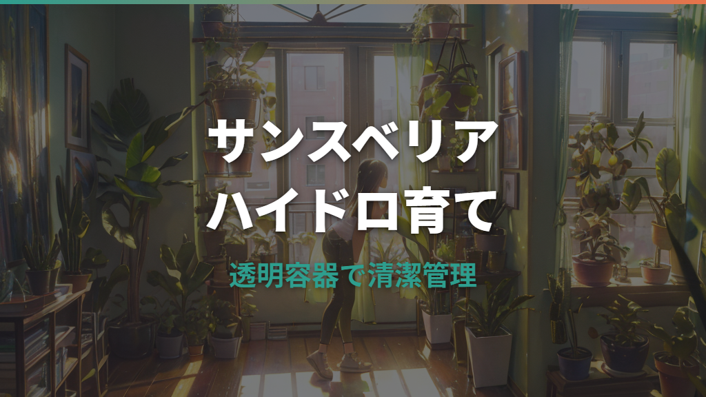 サンスベリアのハイドロカルチャー詳しいガイド|植え替え手順と枯らさない管理