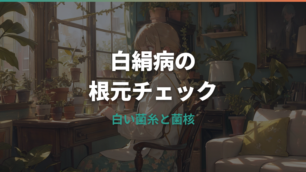 白絹病は観葉植物にも出る?根元の白いカビ状症状の見分け方と処置