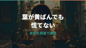モンステラの黄色くなった葉はどうする?切る判断と原因別の対処法