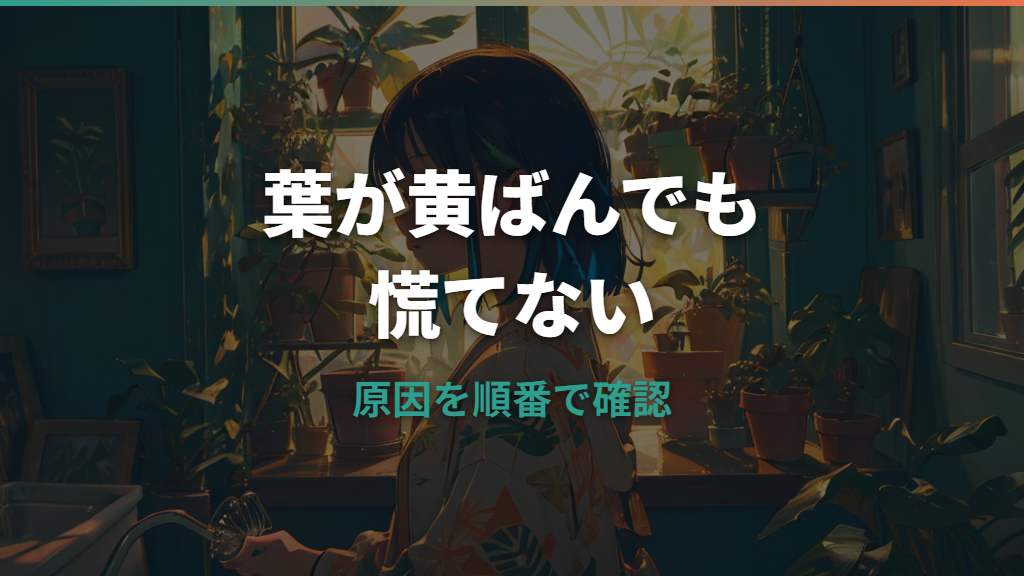モンステラの黄色くなった葉はどうする?切る判断と原因別の対処法