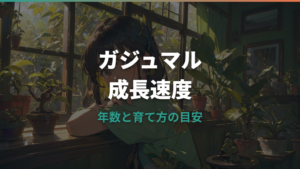 ガジュマルの成長速度はどれくらい？年数別の大きさと早く育てるコツ