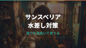 サンスベリアの水差しが腐る原因と復活判断|切り戻しから植え替えまで