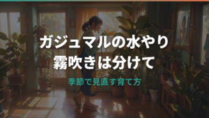 ガジュマルの水やりと霧吹きの正解は？季節別頻度と葉水の使い方