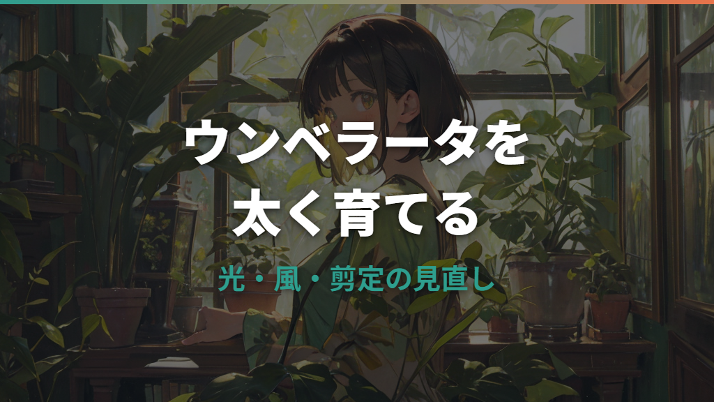 ウンベラータを太くするには？幹が細い原因と剪定・植え替えの育て方
