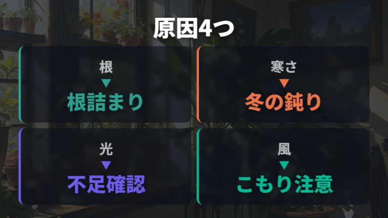 葉が小さくなる主な原因を順番に確認する