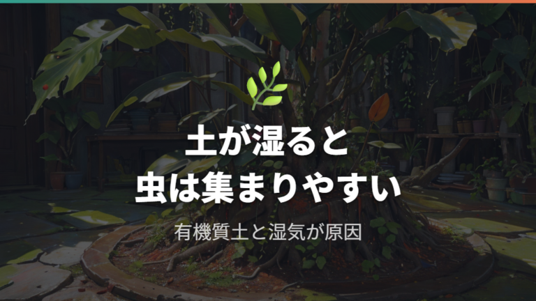 コバエが発生する主な原因は土と湿気にある