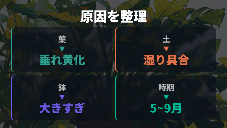 植え替え後に元気がない原因を症状から切り分ける