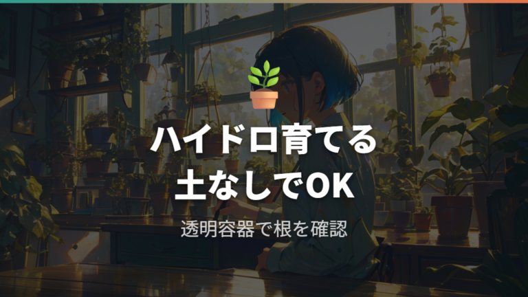 パキラをハイドロで育てる基本を押さえる