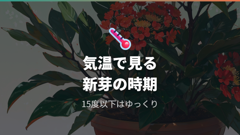新芽が出る時期と成長の目安を気温で見る