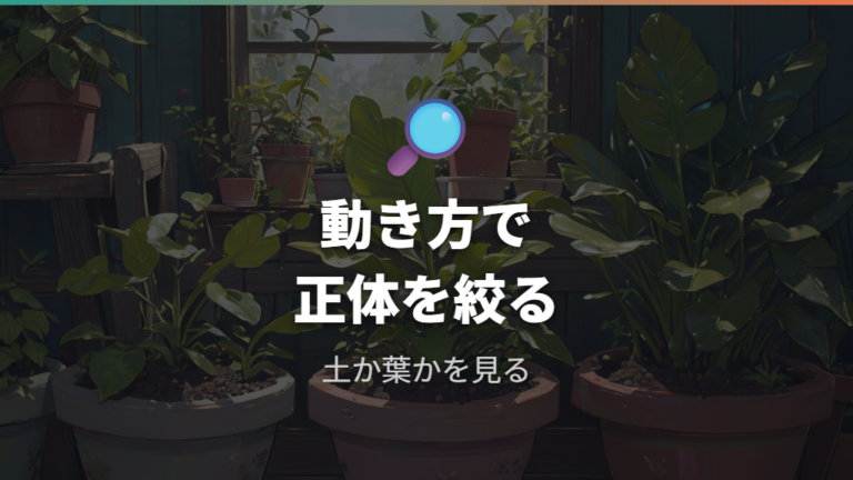 土にいる白い虫の正体はまず動き方で絞る