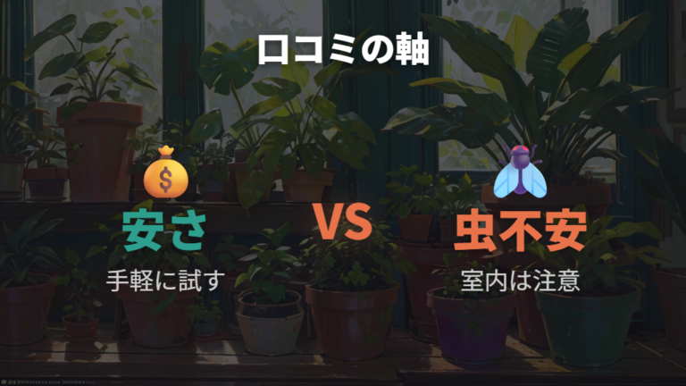 投稿で目立った評価は安さと虫への不安