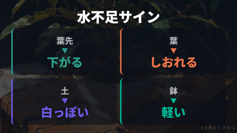 水不足で出る葉と幹のサインを最初に見る
