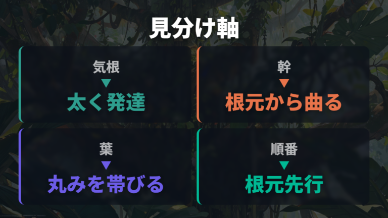 ガジュマルに似た樹形の観葉植物は気根と幹で見分ける