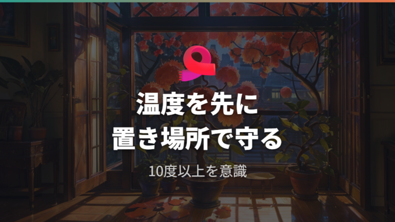 冬越しに必要な温度と置き場所を最初に整える