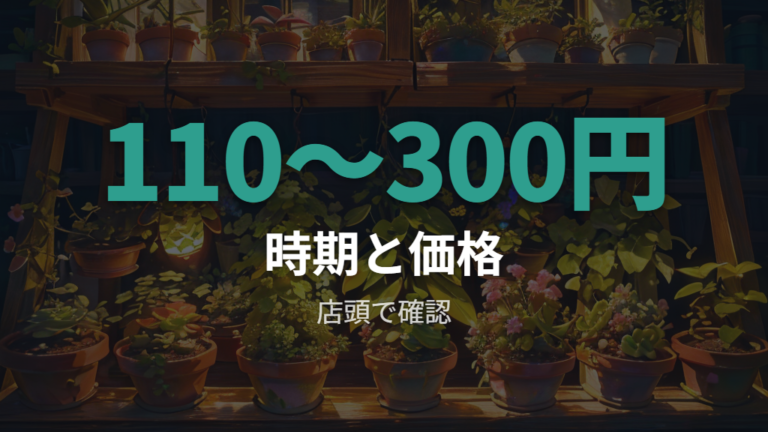 ダイソーで買える時期と価格は店舗確認が前提