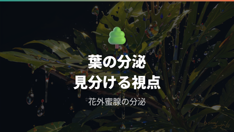 パキラの蜜の正体は花外蜜腺から出る甘い分泌物