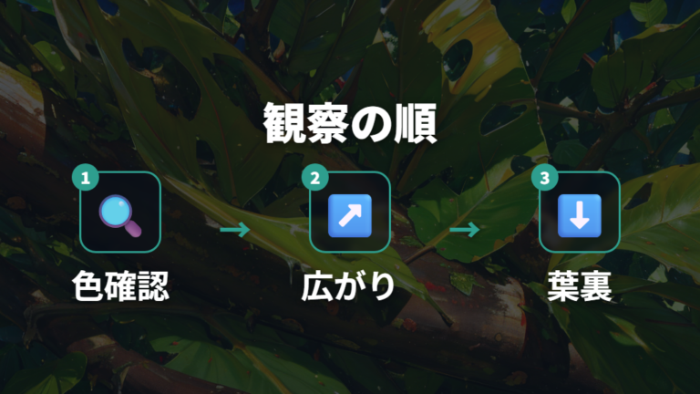 葉の斑点から病気を見分ける最初の観察ポイント