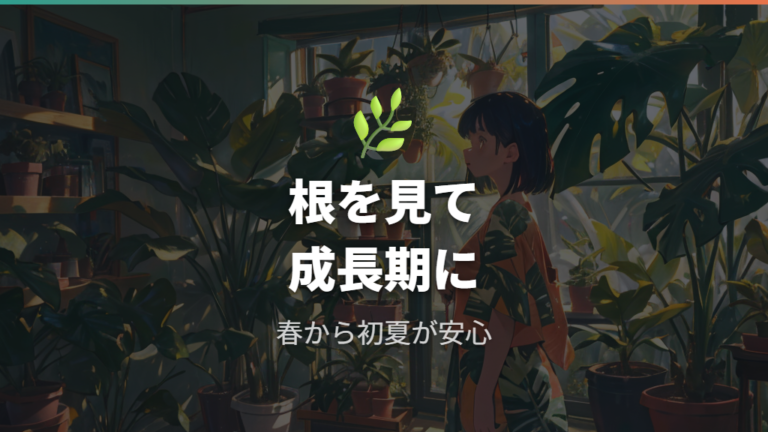 土に植え替えるタイミングは成長期を選ぶ