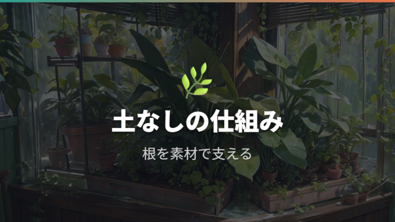 無印の土を使わない植物の仕組みを整理する