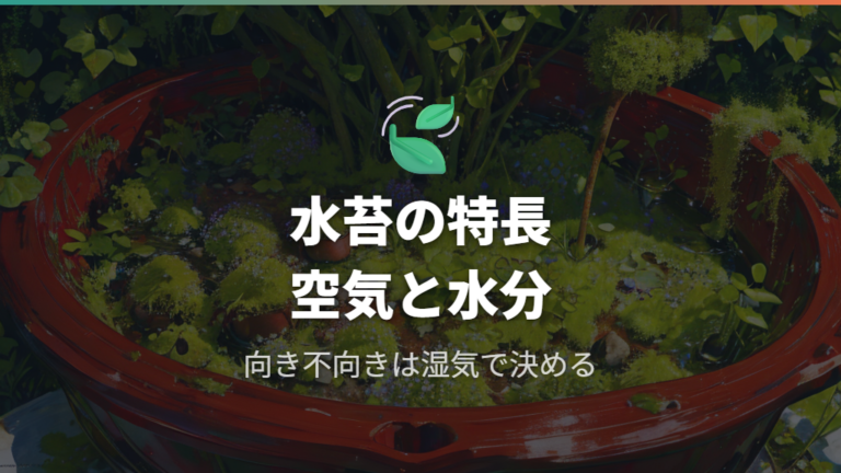 水苔の特徴と向いている植物を整理する