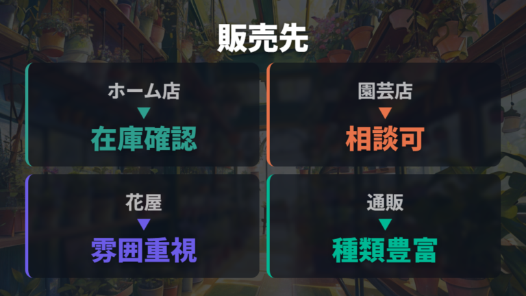 実店舗で買える主な販売場所をまず押さえる
