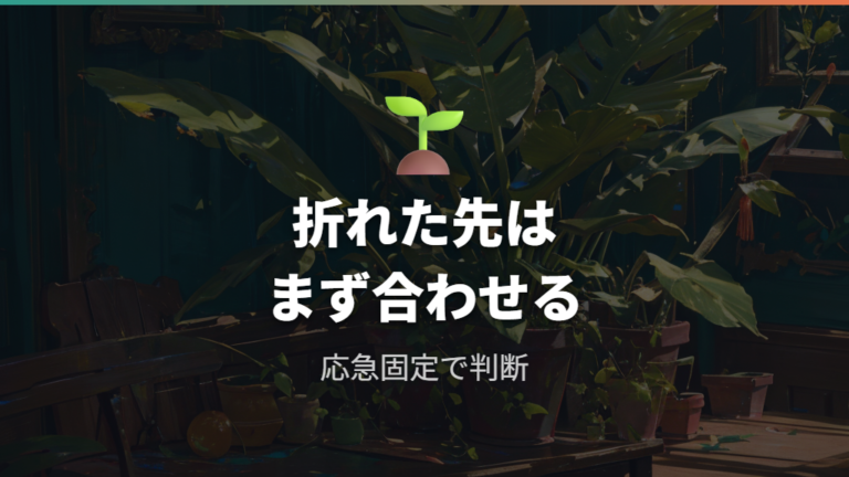 セロテープで固定しても大丈夫か最初に見極める