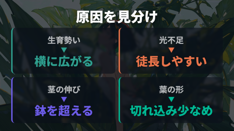 大きくなりすぎる原因は性質や光不足などから考える