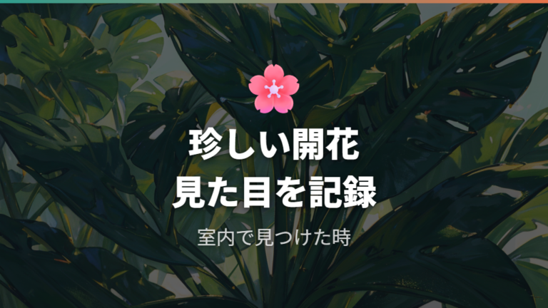 モンステラの花は珍しいのかをまず整理する
