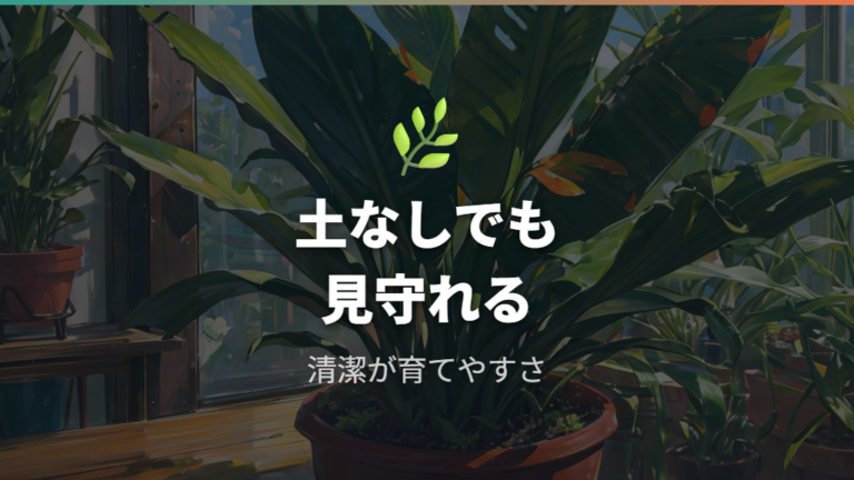 ハイドロ栽培に向く理由と清潔に飾れるメリット