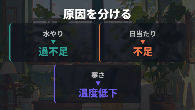 葉が落ちる主な原因は水やり・光・寒さに分かれる