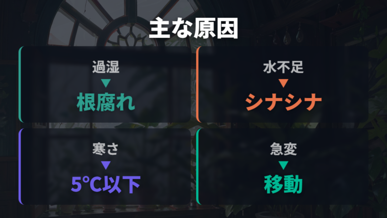 葉が全て落ちる主な原因をまず整理する