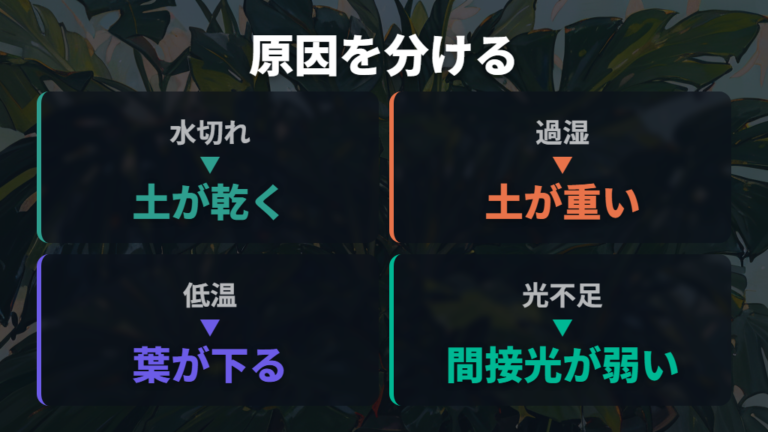 葉が垂れる主な原因をまず一覧で切り分ける